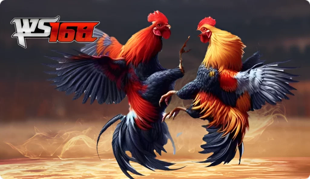 sảnh ws168