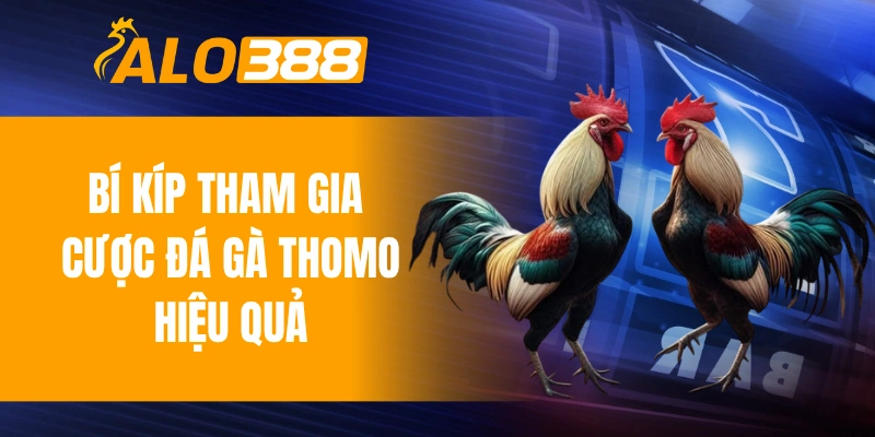 Bí kíp tham gia cược đá gà Thomo hiệu quả
