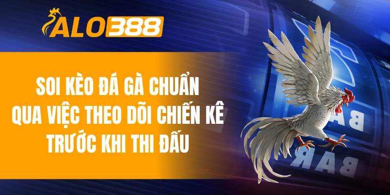 Bí quyết soi kèo đá gà chuẩn qua việc theo dõi chiến kê trước khi thi đấu