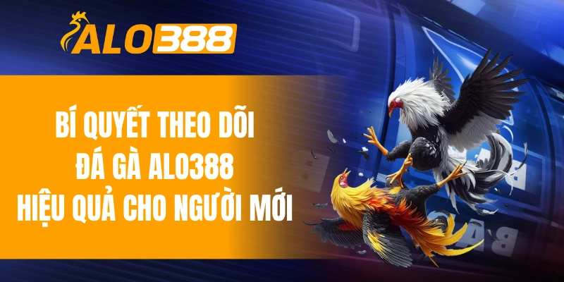 Bí quyết theo dõi đá gà ALO388 hiệu quả cho người mới