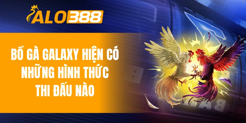 Bồ gà Galaxy hiện có những hình thức thi đấu nào