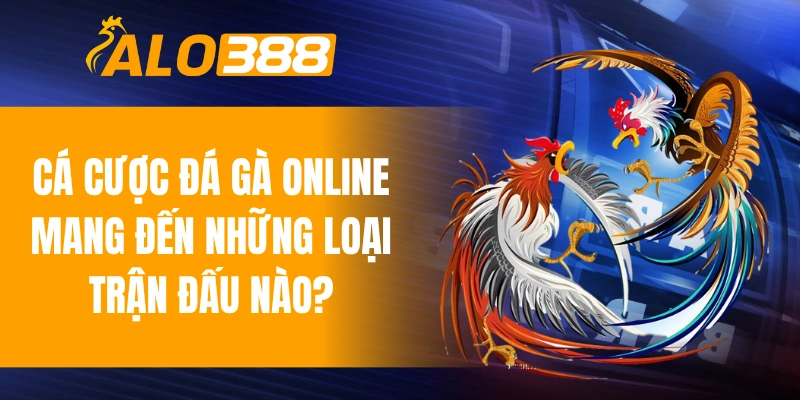 Cá cược đá gà online mang đến những loại trận đấu nào?