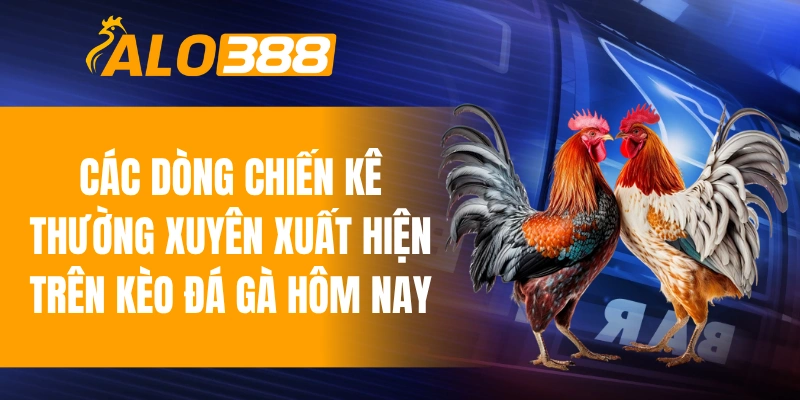 Các dòng chiến kê thường xuyên xuất hiện trên kèo đá gà hôm nay
