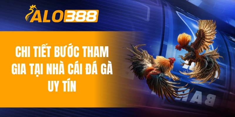 Chi tiết bước tham gia tại nhà cái đá gà uy tín
