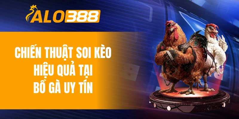 Chiến thuật soi kèo hiệu quả tại bồ gà uy tín