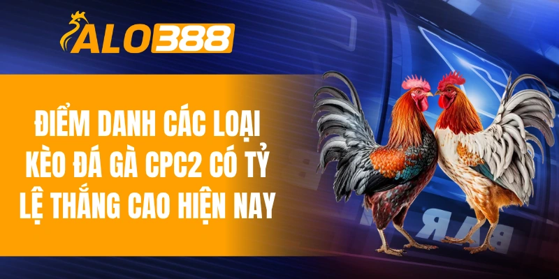 Điểm danh các loại kèo đá gà CPC2 có tỷ lệ thắng cao hiện nay
