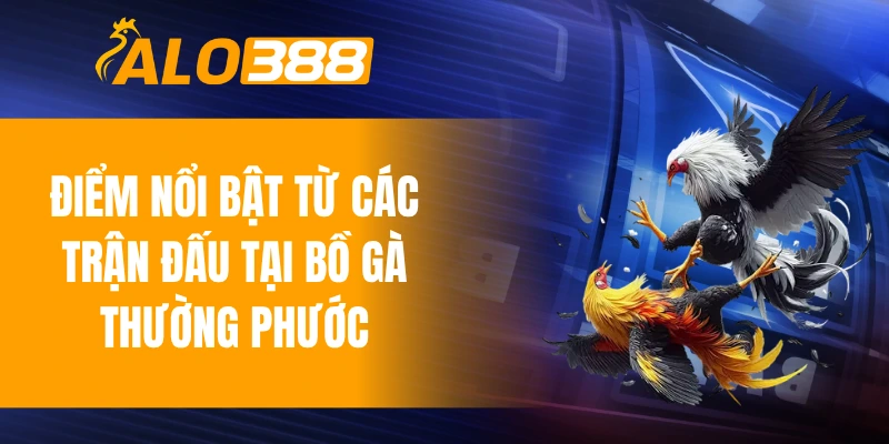 Điểm nổi bật từ các trận đấu tại bồ gà Thường Phước