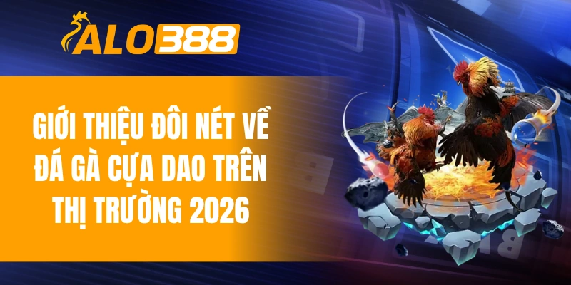 Giới thiệu đôi nét về đá gà cựa dao trên thị trường 2026