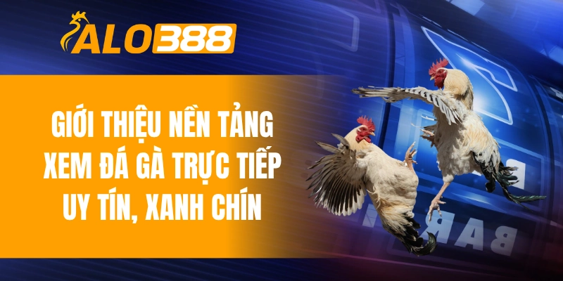 Giới thiệu nền tảng xem đá gà trực tiếp uy tín, xanh chín