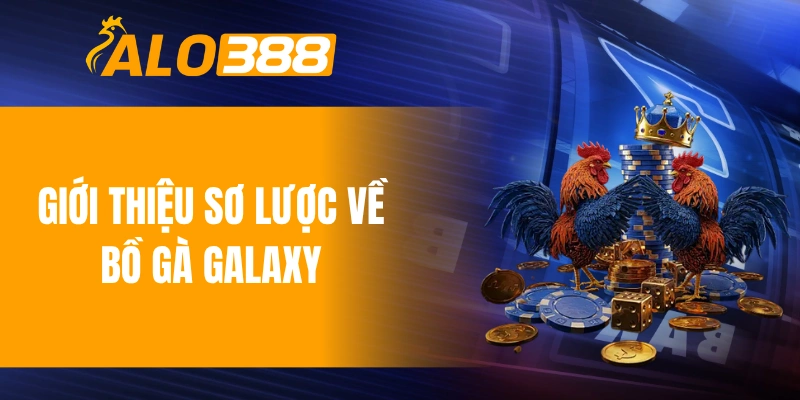 Giới thiệu sơ lược về bồ gà Galaxy