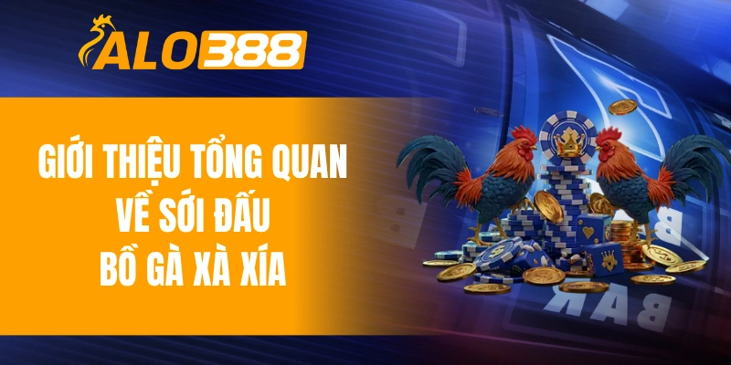 Giới thiệu tổng quan về sới đấu bồ gà Xà Xía