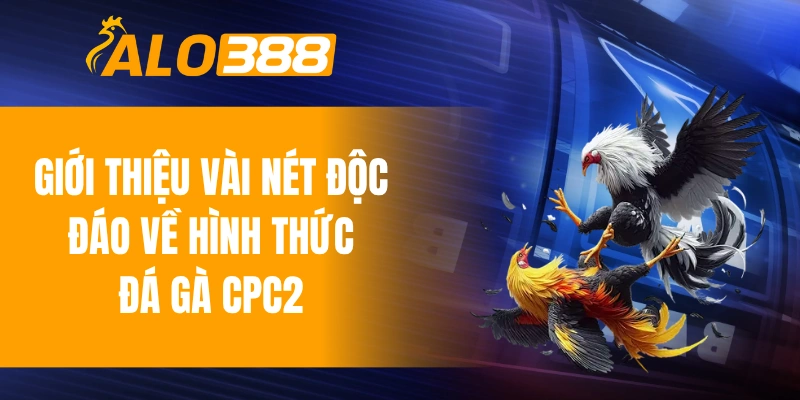 Giới thiệu vài nét độc đáo về hình thức đá gà CPC2