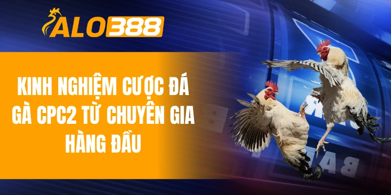 Kinh nghiệm cược đá gà CPC2 từ chuyên gia hàng đầu