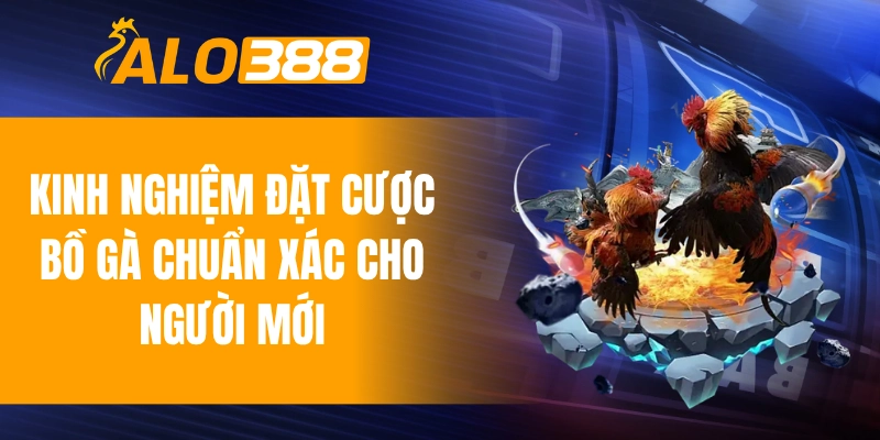 Kinh nghiệm đặt cược bồ gà chuẩn xác cho người mới