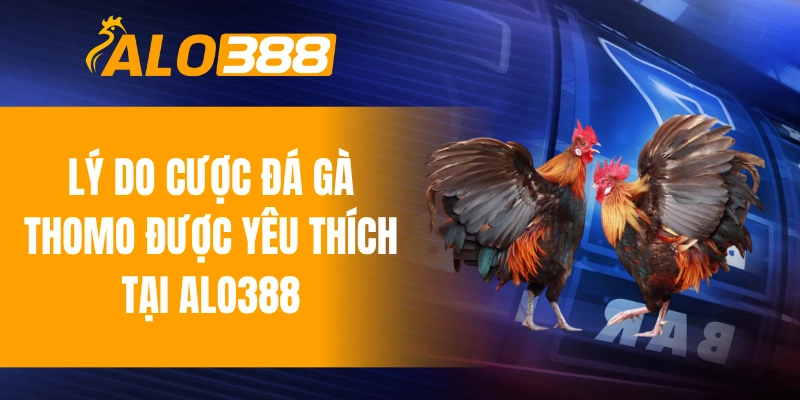 Lý do cược đá gà Thomo được yêu thích tại ALO388