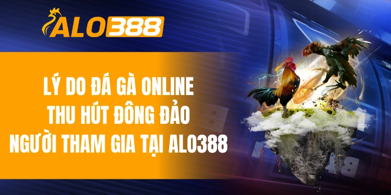 Lý do đá gà online thu hút đông đảo người tham gia tại ALO388