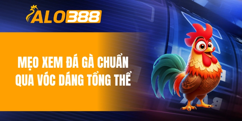Mẹo xem đá gà chuẩn qua vóc dáng tổng thể