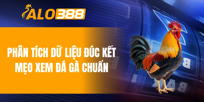 Phân tích dữ liệu đúc kết mẹo xem đá gà chuẩn