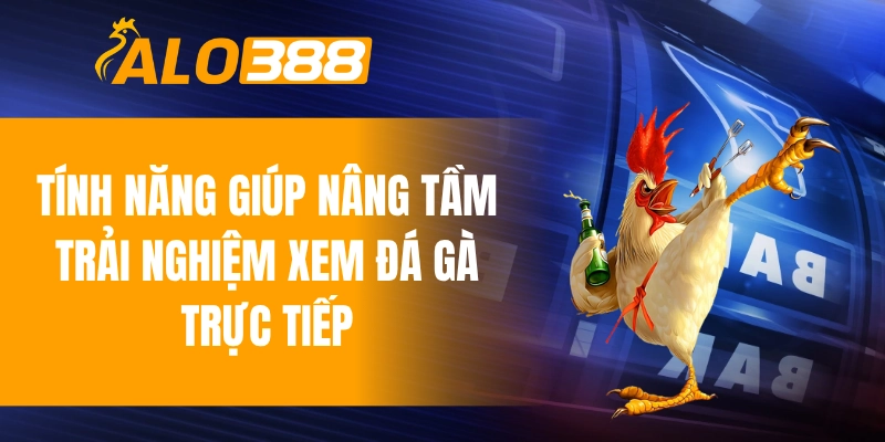 Tính năng giúp nâng tầm trải nghiệm xem đá gà trực tiếp