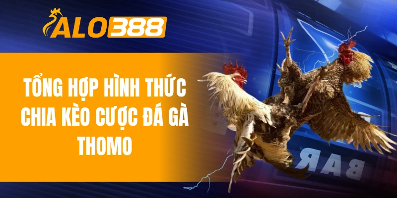 Tổng hợp hình thức chia kèo cược đá gà Thomo