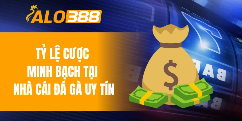 Tỷ lệ cược minh bạch tại nhà cái đá gà uy tín