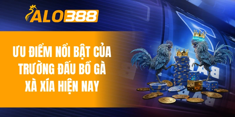 Ưu điểm nổi bật của trường đấu bồ gà Xà Xía hiện nay