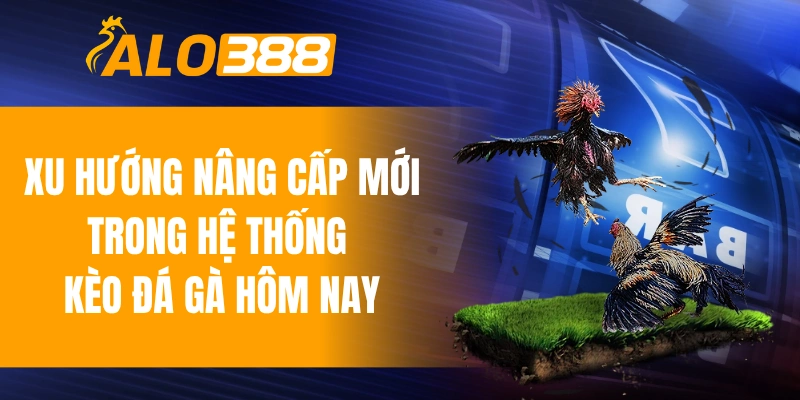 Xu hướng nâng cấp mới trong hệ thống kèo đá gà hôm nay