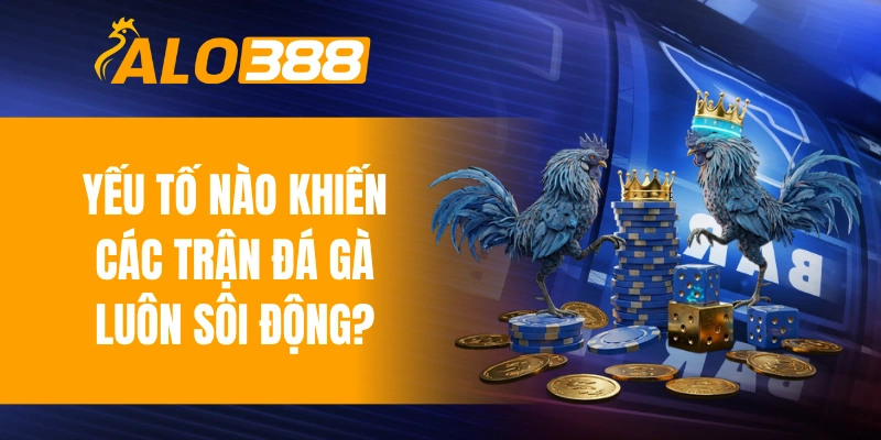 Yếu tố nào khiến các trận đá gà trực tuyến luôn sôi động?